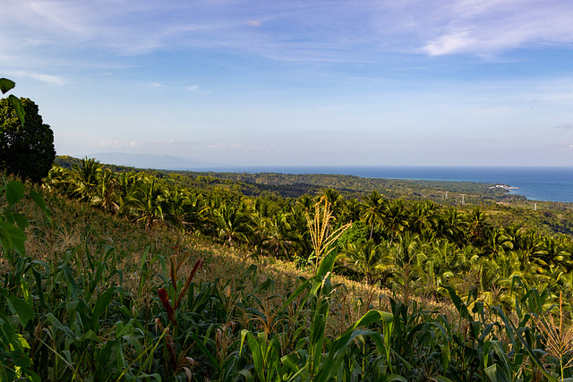 Philippinen20-6163