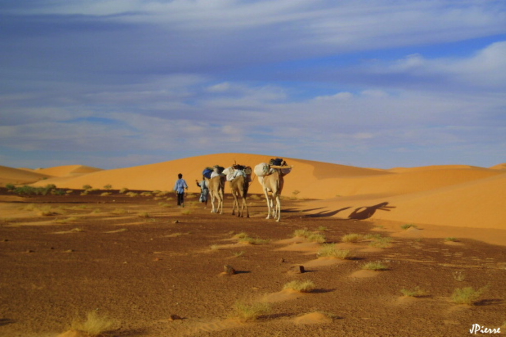 Mauritanie