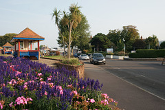 Flowers In Minehead