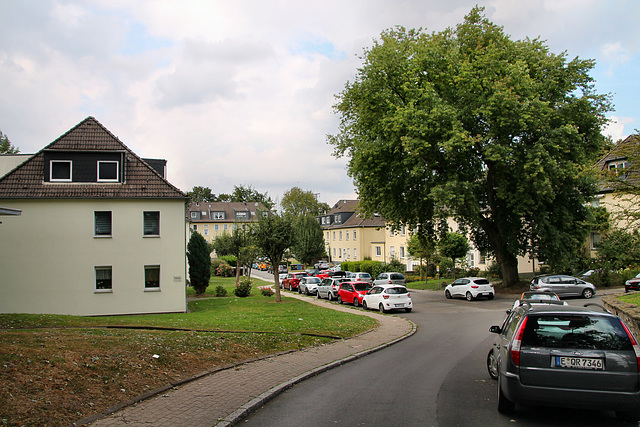 Wilhelm-Meinrich-Weg (Essen-Frohnhausen) / 30.08.2020