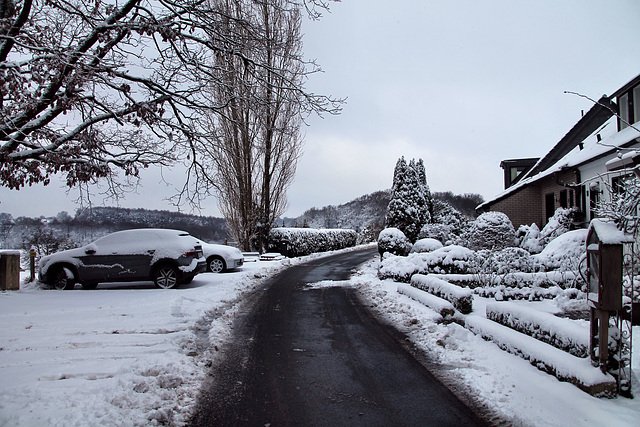 Ochsenkamp (Sprockhövel-Herzkamp) / 15.01.2024