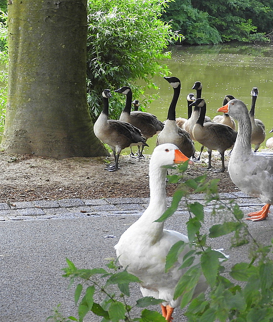Visitors Visitors