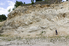 Ziswingen limestone quarry 4