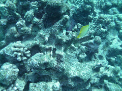 PICT0291.JPG