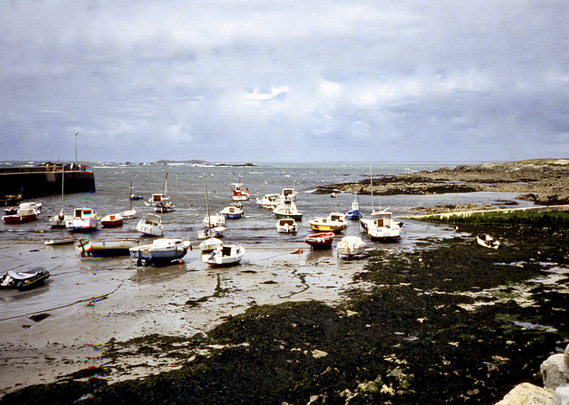 Kleiner Hafen an der Côte Sauvage, Quiberon  (Diascan)