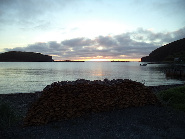 Lever de bois de chauffage / Raising firewood