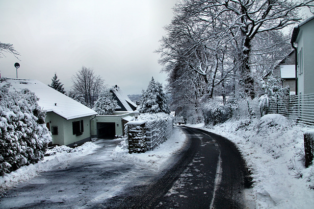 Ochsenkamp (Sprockhövel-Herzkamp) / 15.01.2024