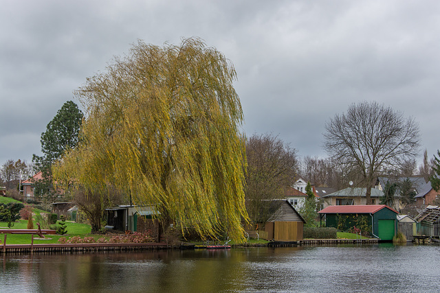 (324/365/2015) Stürmische Tage (324/365/2015) Stürmische Tage