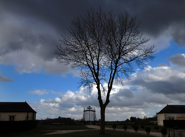 Contre-jour de pluie