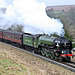 LNER class A1 4-6-2 60163 TORNADO passing Abbots House with the 12.40 Grosmont - Pickering service 10th March 2018