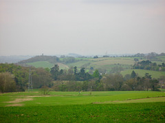 Looking north west towards Orton Hill from near Baggeridge Wood Farm