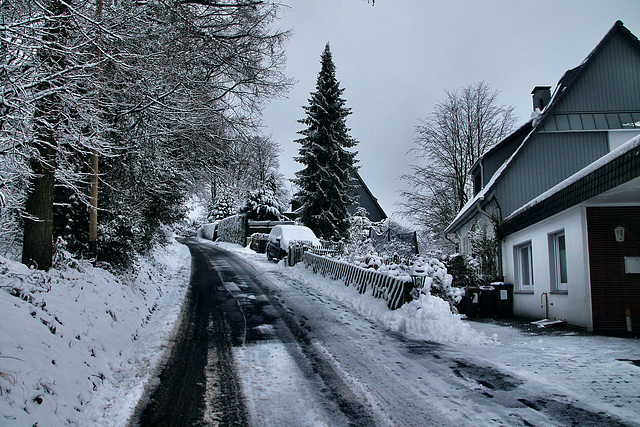 Ochsenkamp (Sprockhövel-Herzkamp) / 15.01.2024