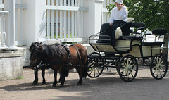 Horse pulled carriage.