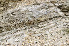 Ziswingen limestone quarry 6