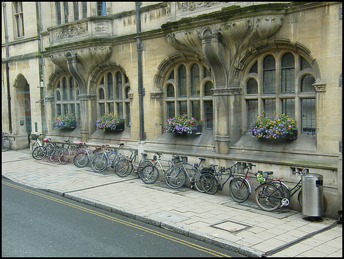 town hall flowers