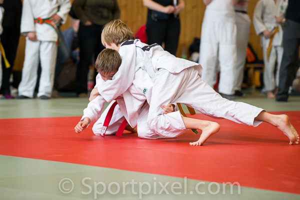 oster-judo-1731 17177259662 o