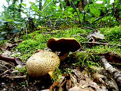 P1200794