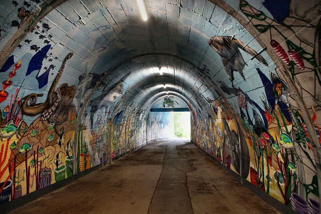 Graffittikunst im Tunnel Grunertstraße (Essen-Frohnhausen) / 30.08.2020