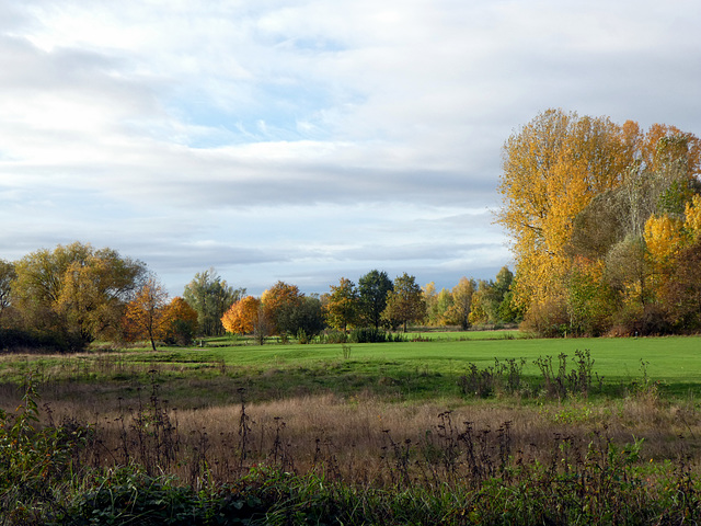 Sonniger Herbstmorgen