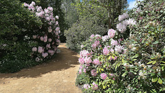 Balade au parc...