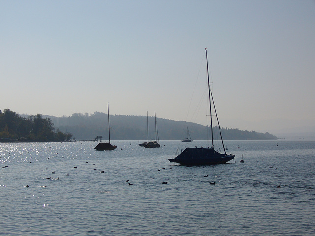 Ammersee