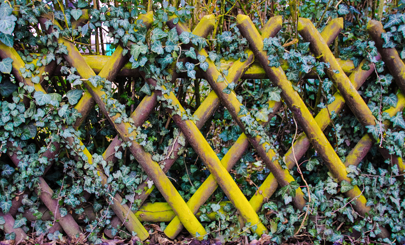 A Fence for Friday