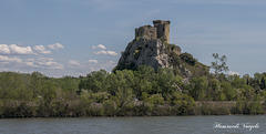 Ruine an der Rhone