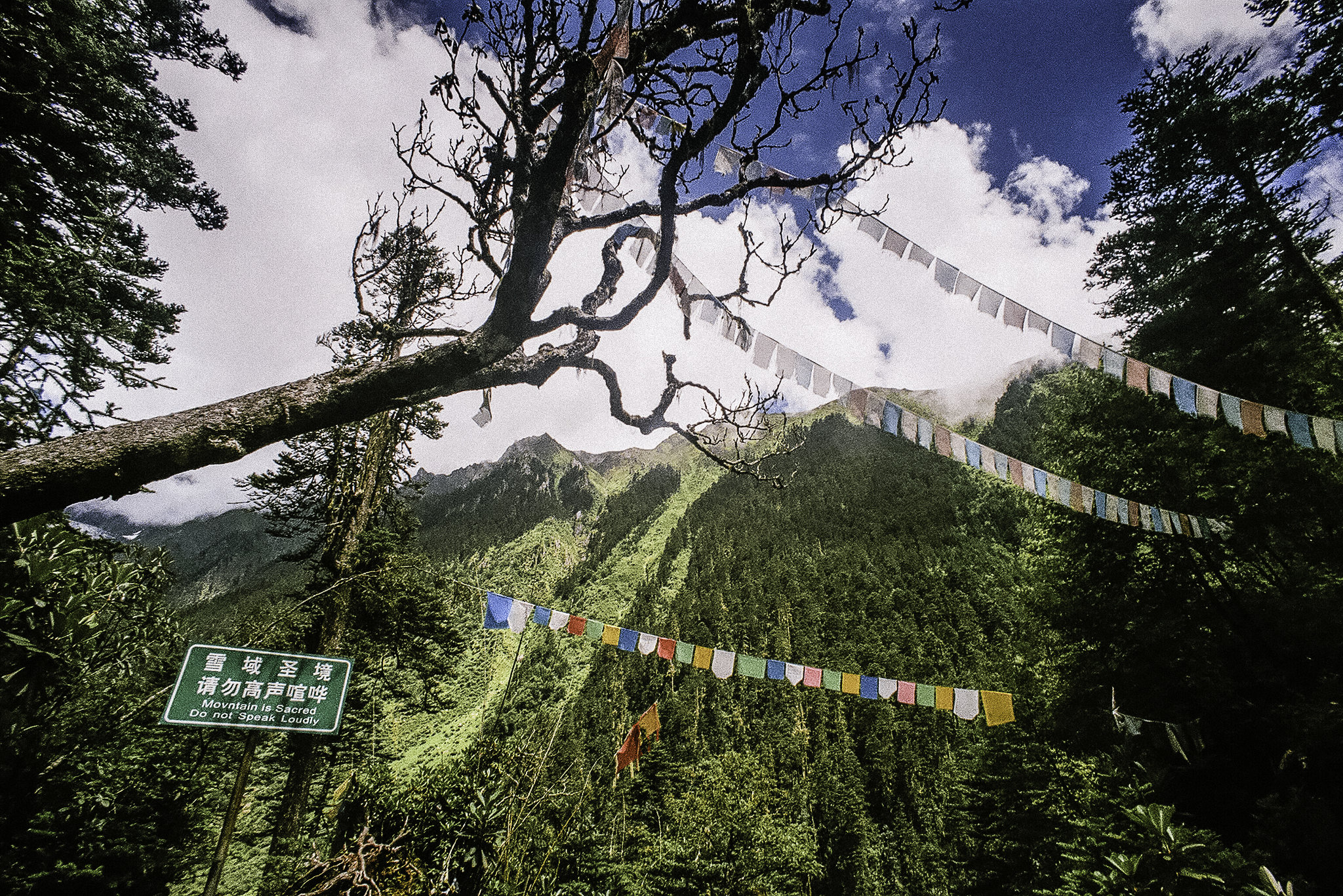 Mountain is sacred, but first take care for Mr. Profit