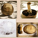 Agaricus Campestris - Field Mushroom