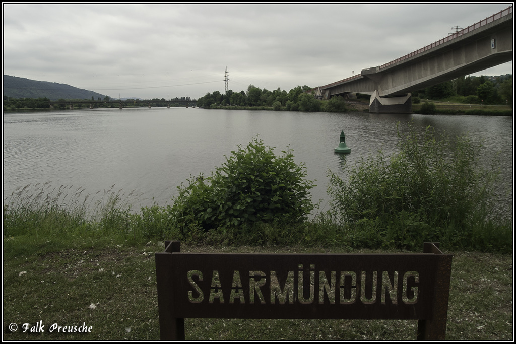 Die Saarmündung