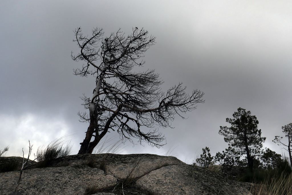 Serra da Estrela