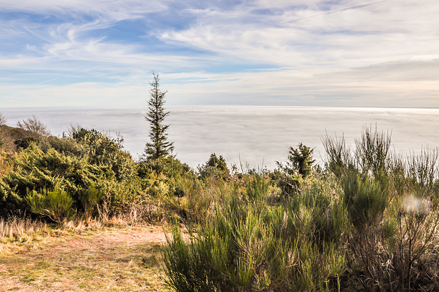 Mer de nuages sous les nuages ! (9 notes)