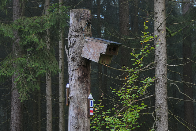 Bei Wernberg gesichtet: Tarnüberwachung. - Die haben wohl einen Vogel?!