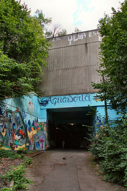 Tunnel Grunertstraße, Nordportal (Essen-Altendorf) / 30.08.2020