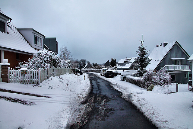 Ochsenkamp (Sprockhövel-Herzkamp) / 15.01.2024