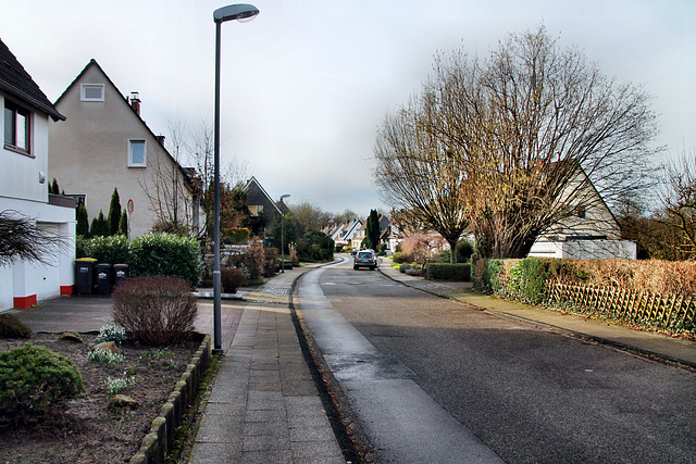 Selbachstraße (Essen-Überruhr) / 10.02.2024