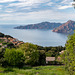 CORSICA - Piana