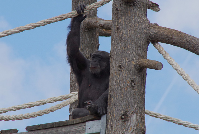 En vacance ! En vacance !