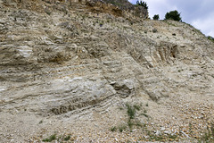 Ziswingen limestone quarry 8