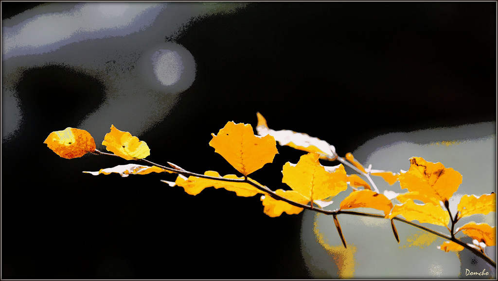 Parure d'automne