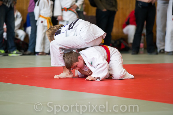 oster-judo-1733 17177259462 o