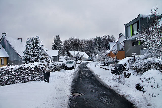 Ochsenkamp (Sprockhövel-Herzkamp) / 15.01.2024