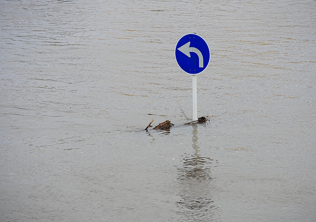 Hochwasserimpressionen (2 PiPs)