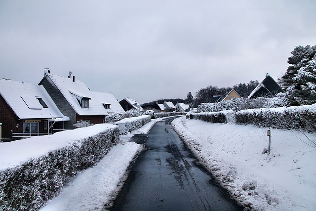 Ochsenkamp (Sprockhövel-Herzkamp) / 15.01.2024