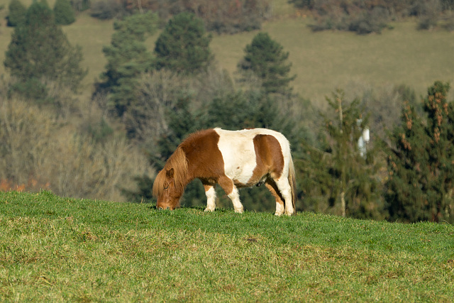 Eifel - Blankenheim Ahrdorf