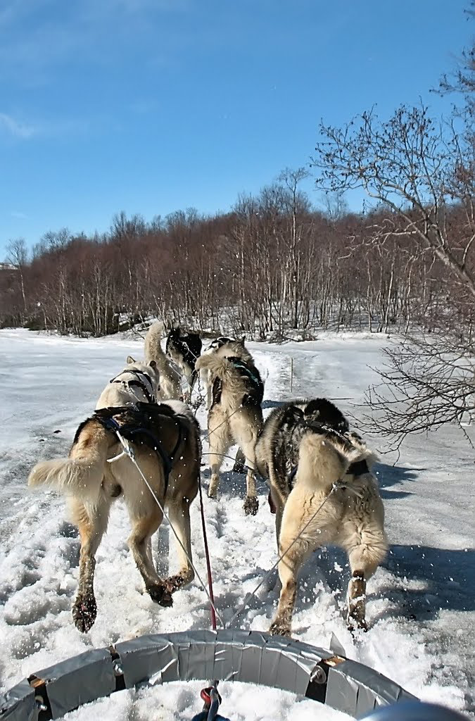 Winterfreuden...