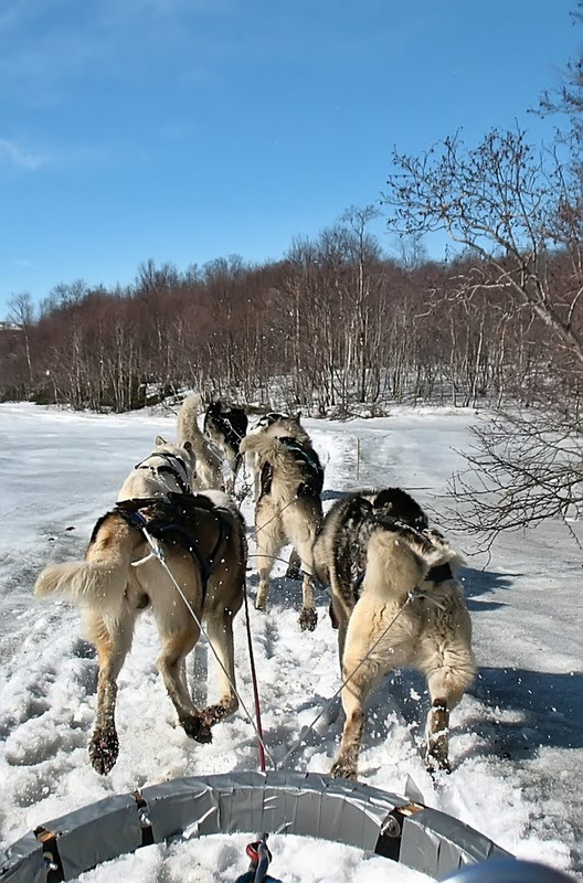 Winterfreuden...