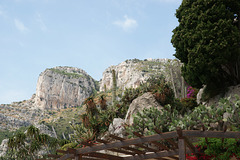 View From The Jardin Exotique