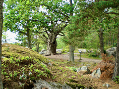 Im Schärengarten von Stockholm