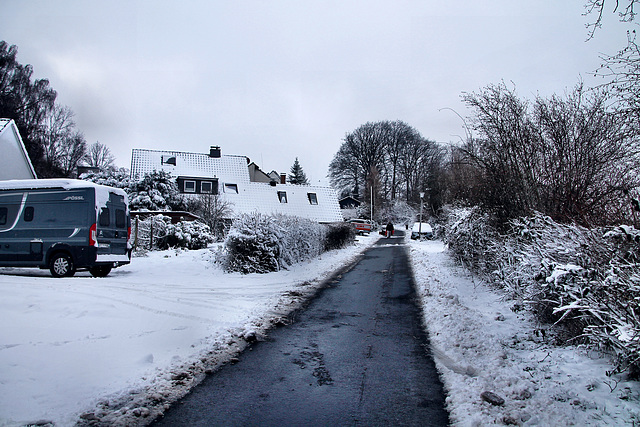 Ochsenkamp (Sprockhövel-Herzkamp) / 15.01.2024